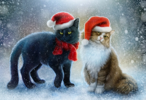 кот, животные, новый год, шапки, снег, черные, белые, коричневые, красные