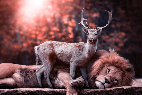 лев, зверь, звери, хищник, олень, антилопа, розовые, фэнтази, красные, бордовые