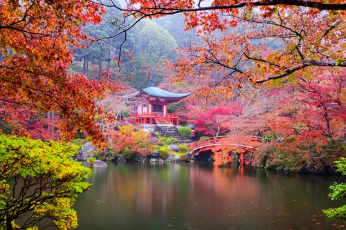 пагода, япония, река, природа, красные, розовые, зеленые