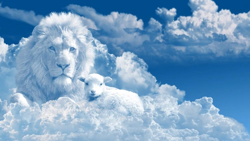 облака, небо, лев, барашек, белый, белые, голубой, голубые