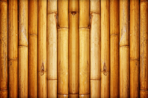 забор, бамбук, текстура, ствол, коричневые, дерево