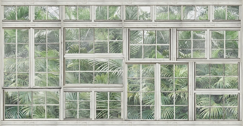 окно, рамы, растения, трава, тропики, зелёные, серые