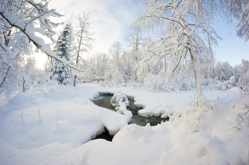 зима, ручей, снег, река, проталина, белые, серые, лес