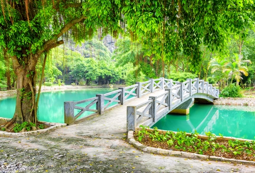 вьетнам, природа, пруд, мостик, зелёные