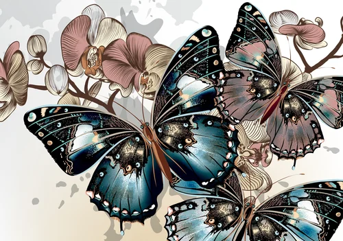 бабочка, насекомые, белые, синие, черные, бежевые