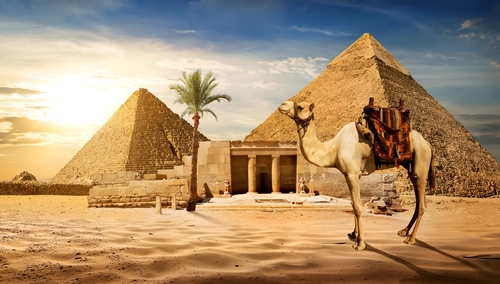 пальма, верблюд, египет, храм, пирамида, синие, серые, белые, коричневые, зеленые