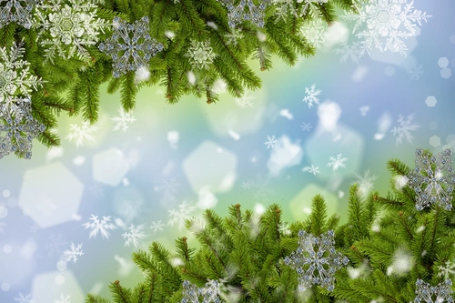 ветвь, новый год, зима, снежинки, зеленые, голубые, белые