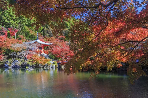 пагода, река, отражение, япония, зеленые, красные