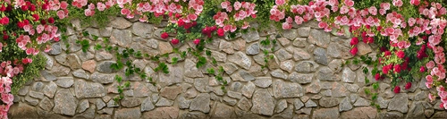 каменная стена, цветы, роза, серые, зелёные, розовые